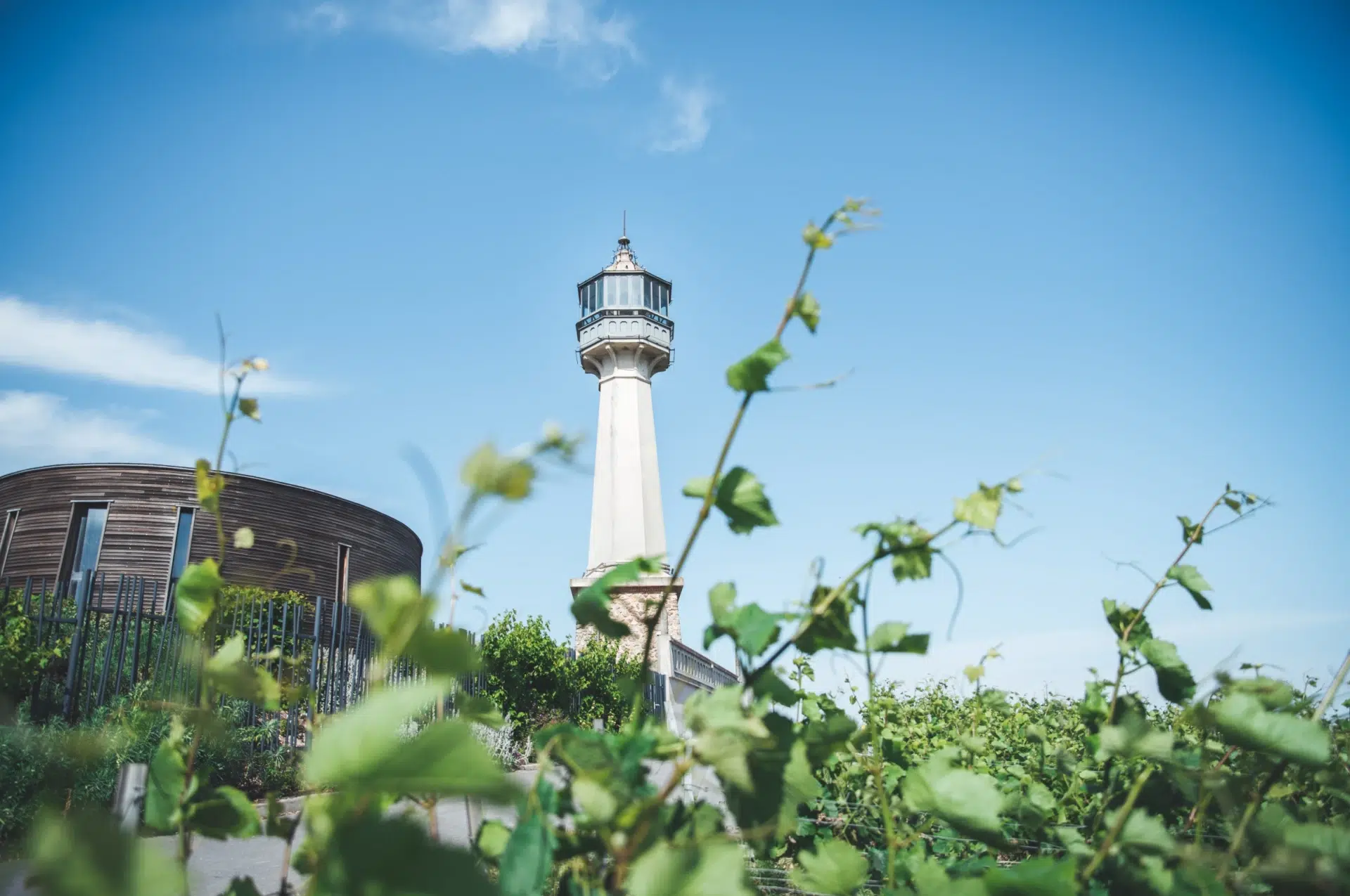 La Vigie #2 – Octobre 2022