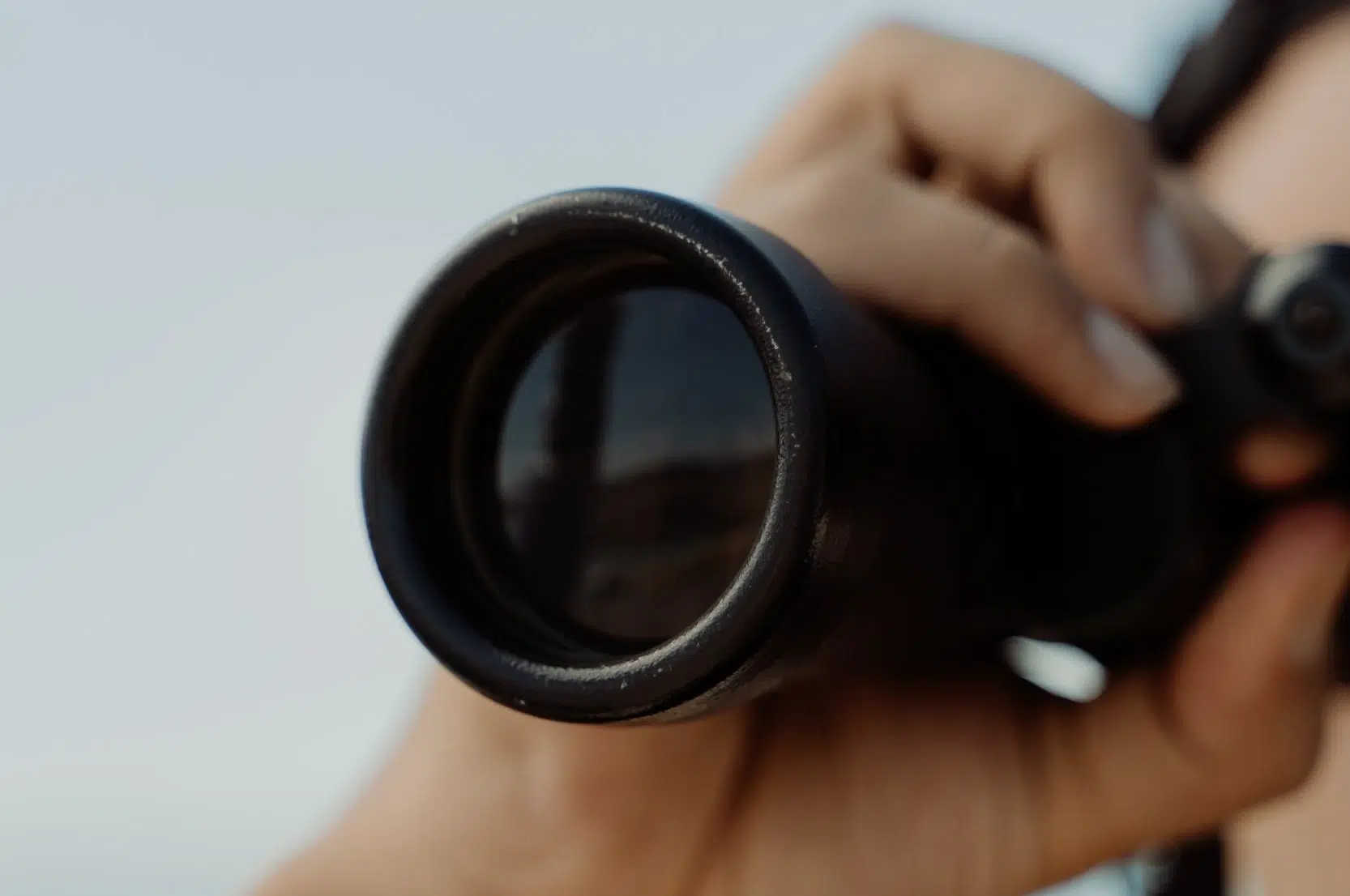 La Vigie #16- Janvier 2024