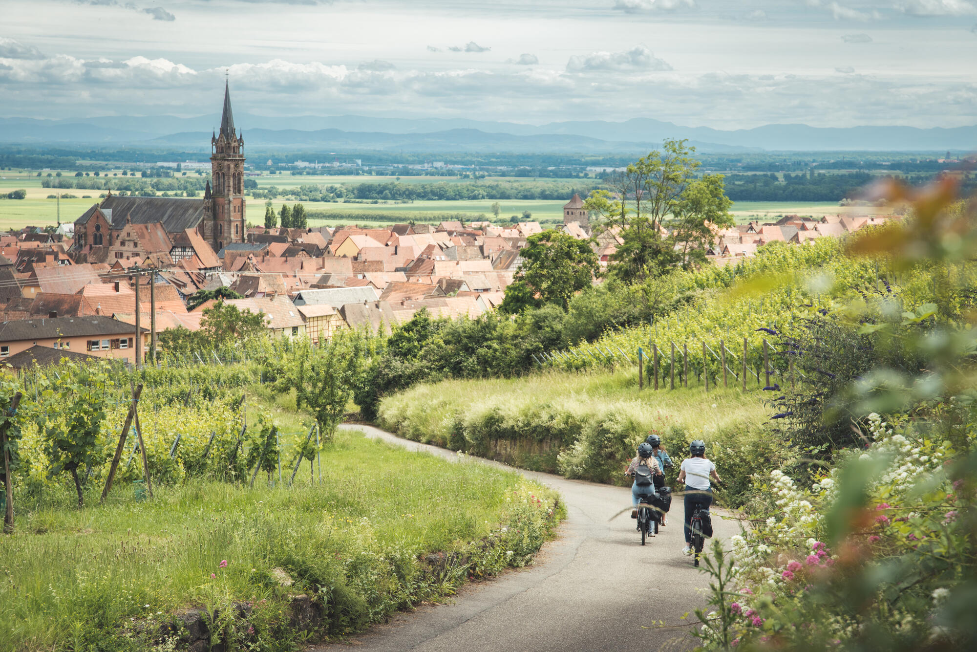 Balade-en-velo-a-Dambach-la-ville