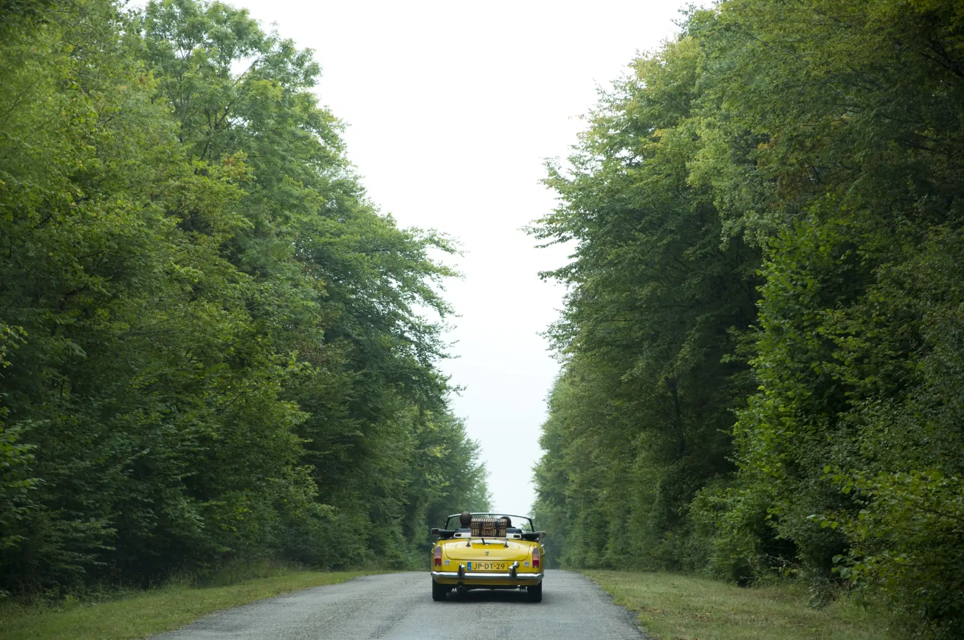 Disruption d’ici et d’ailleurs #16….Waynote, roadtrip audio pour faire de vos trajets, des voyages