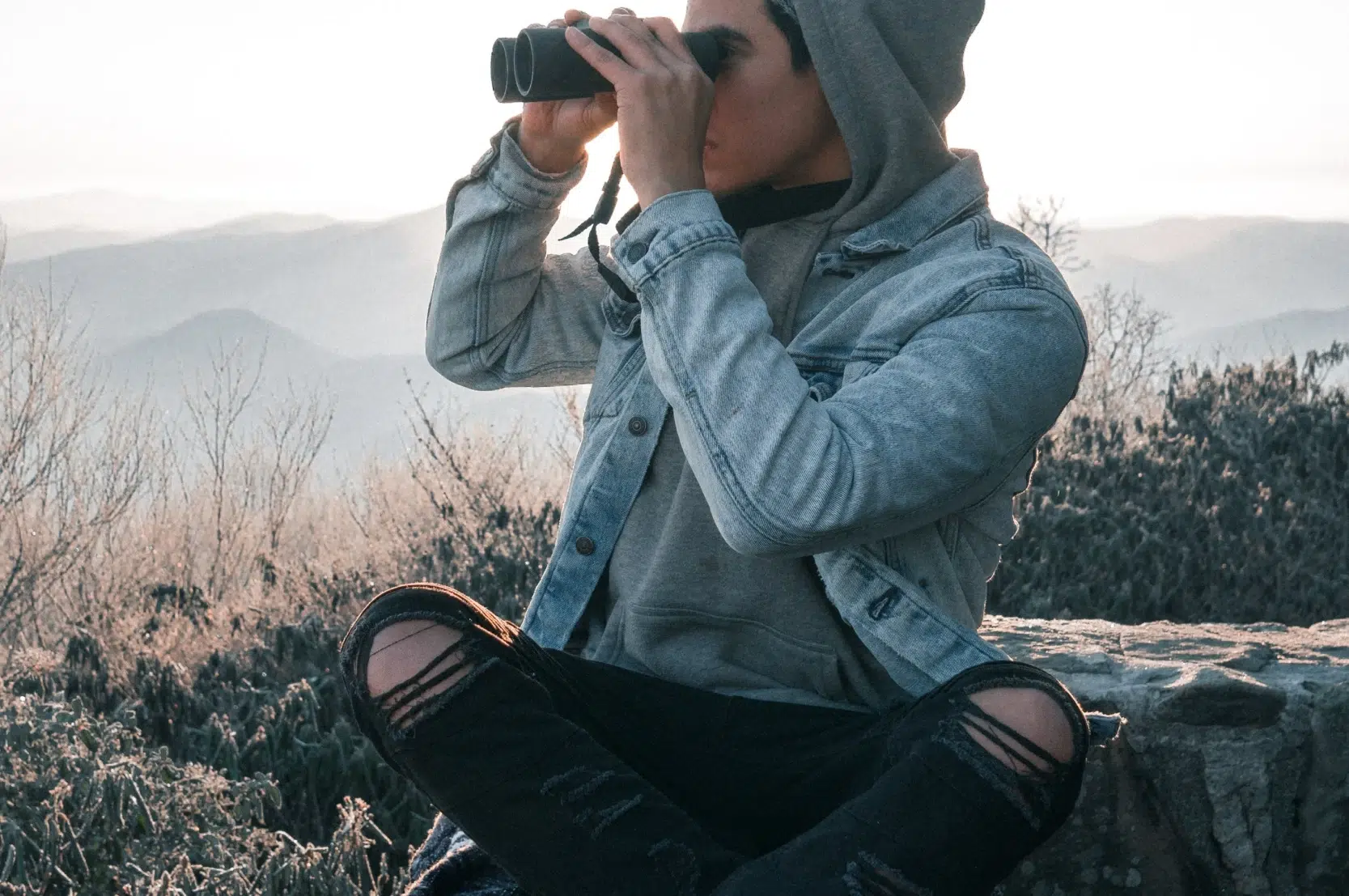 La Vigie #14 – Novembre 2023