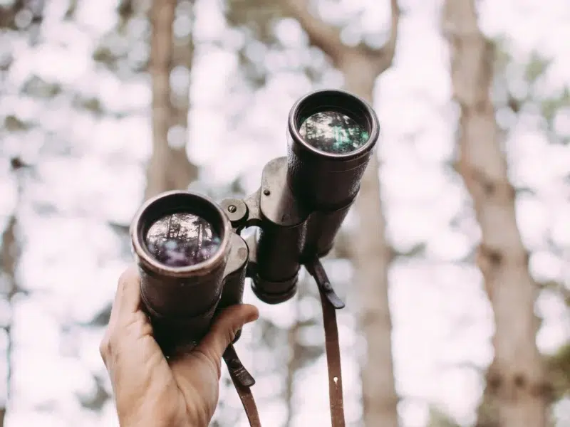 La Vigie #9 – Mai 2023