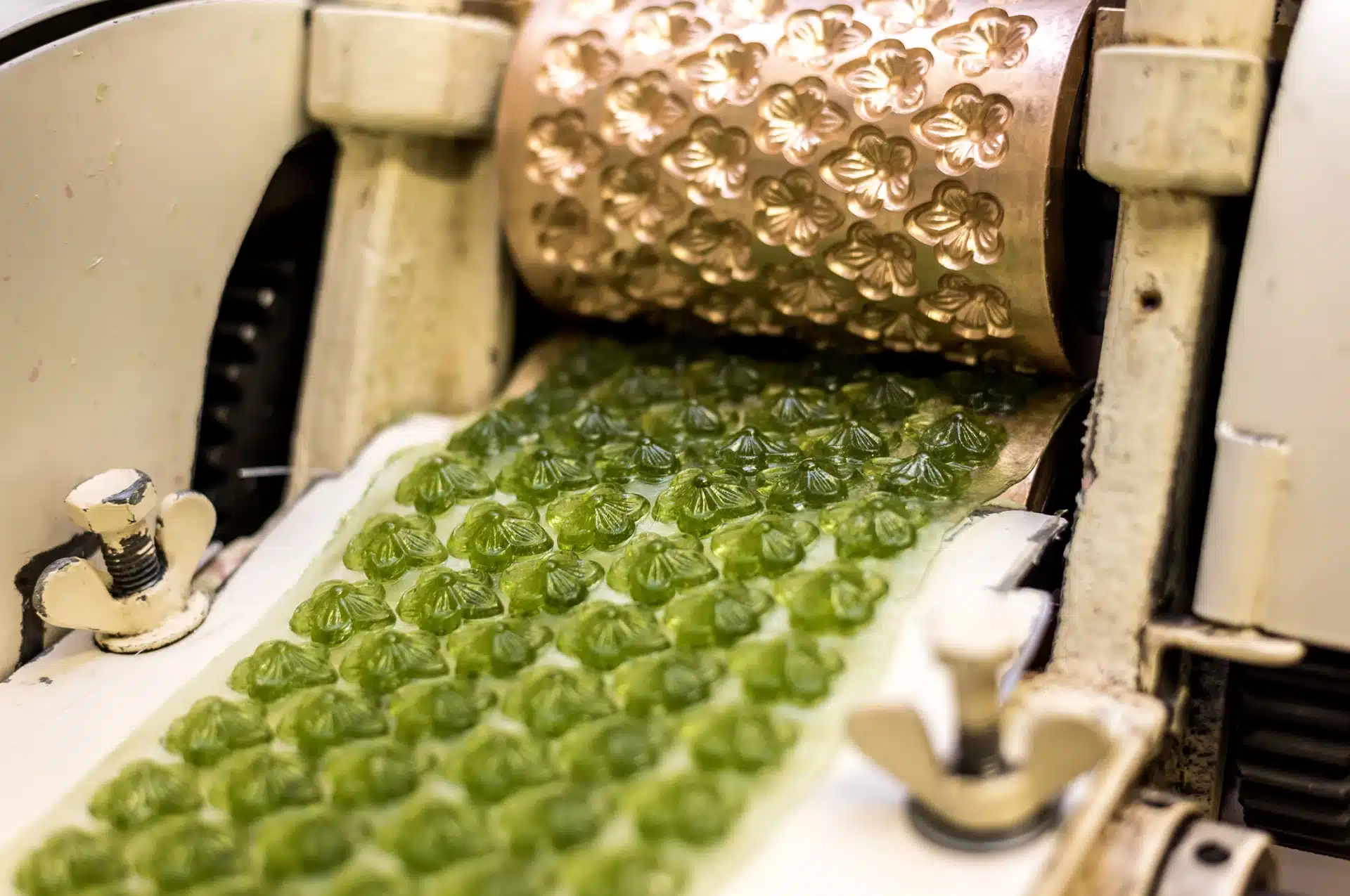 Chiffres 2023 de la visite d’entreprises