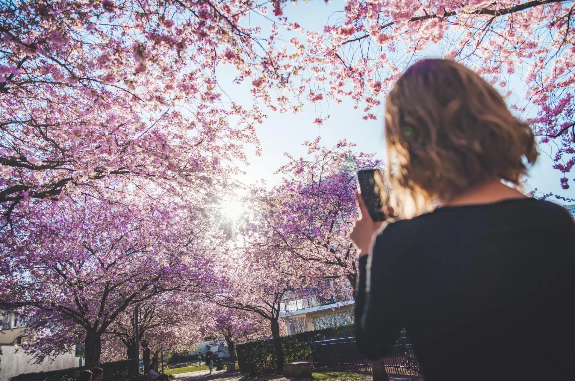 Nouvelles évolutions de l’autodiagnostic ÉcoBoussole