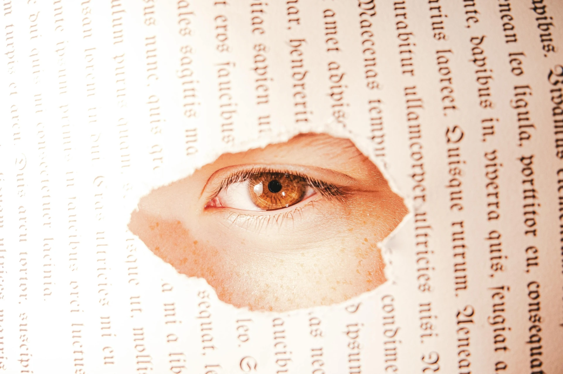 La Vigie #25 – Novembre 2024