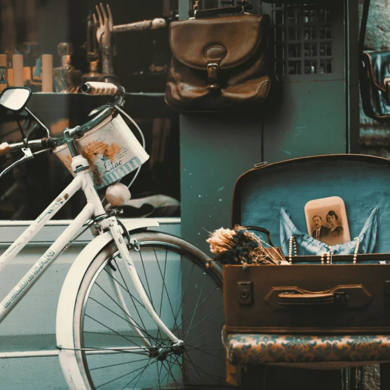 La Vigie #28 – Février 2025