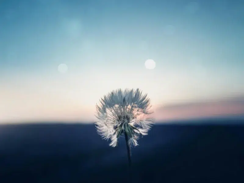 Carte blanche de la Prospective #4 – Thierry Montalieu