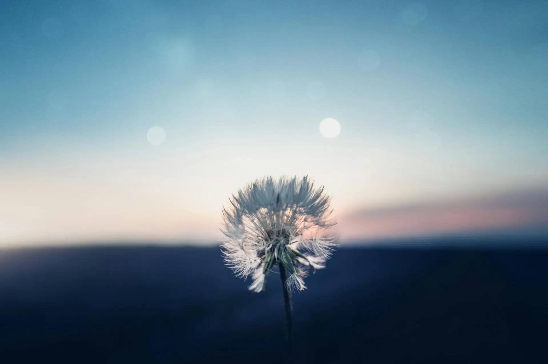 Carte blanche de la Prospective #4 – Thierry Montalieu