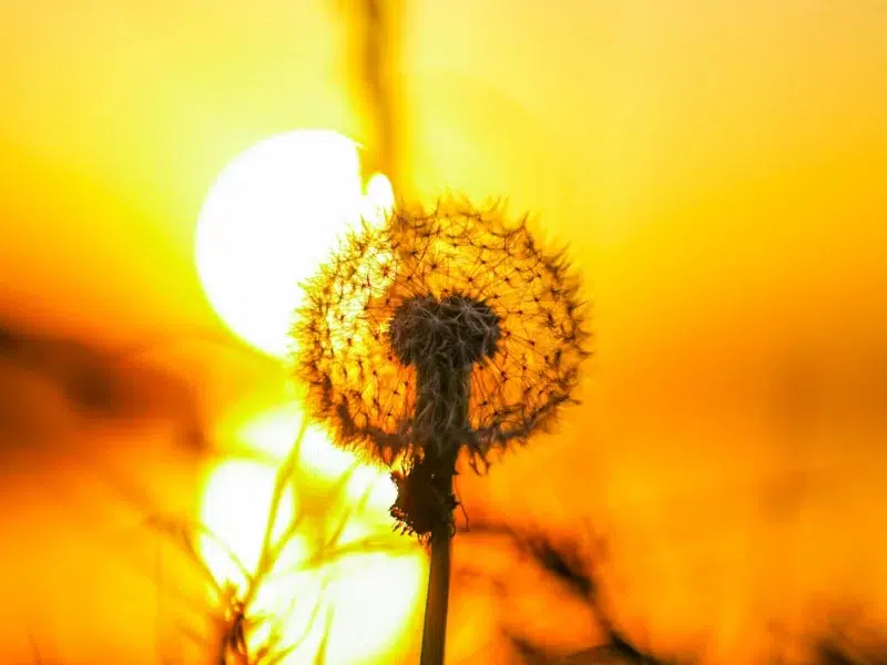 Carte blanche de la Prospective #3 – Rémy Knafou