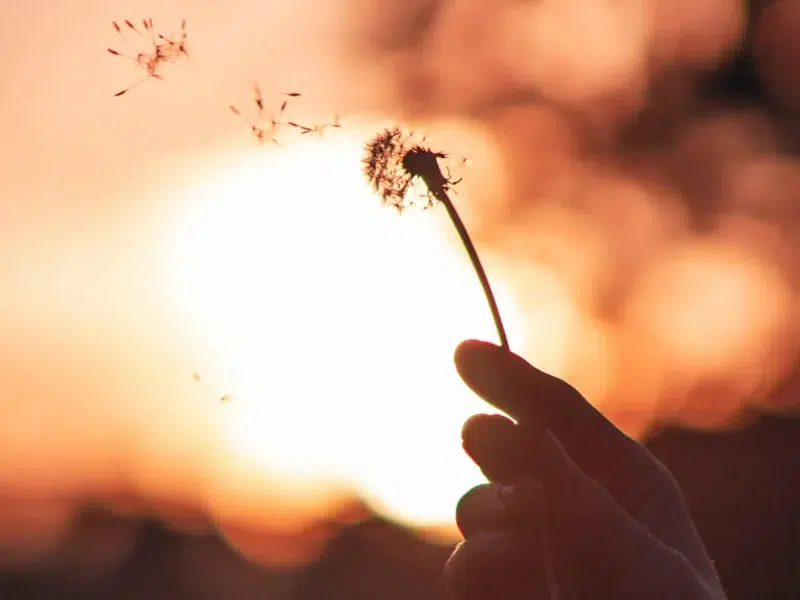 Carte blanche de la Prospective #2 – Norbert Crozier