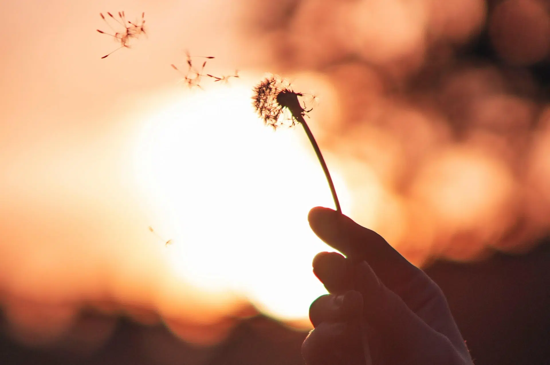 Carte blanche de la Prospective #2 – Norbert Crozier