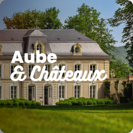 Château élégant dans l’Aube entouré de verdure