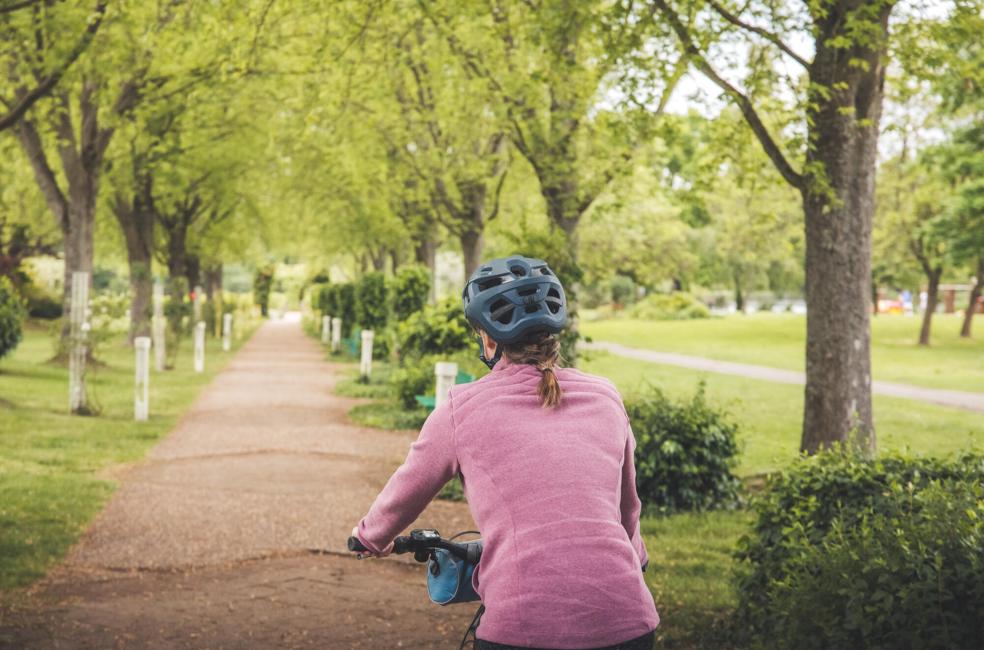 Cycliste sur un chemin bordé d’arbres