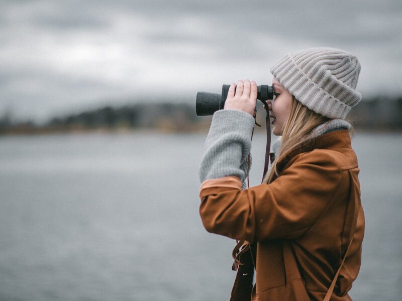 La Vigie #34 – Novembre 2025