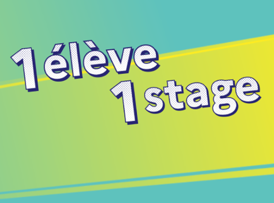 Accueillez un(e) élève en stage d’observation !