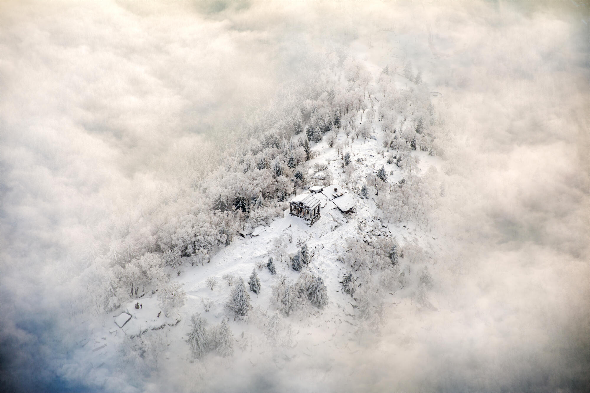Cabane isolée dans une forêt enneigée.