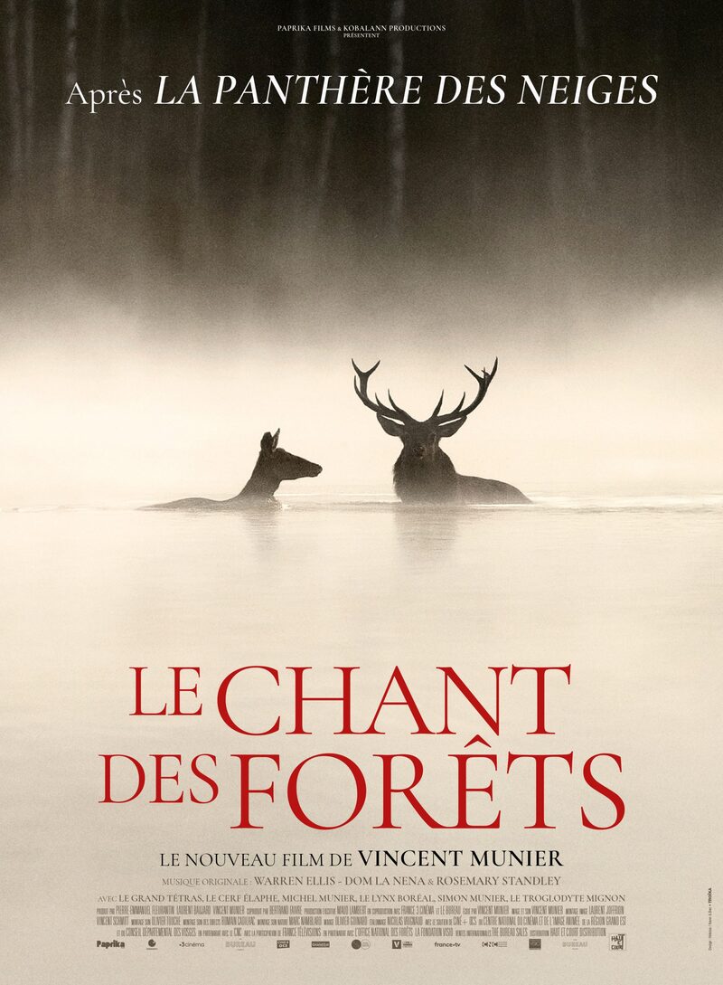 Affiche du film Le Chant des Forêts