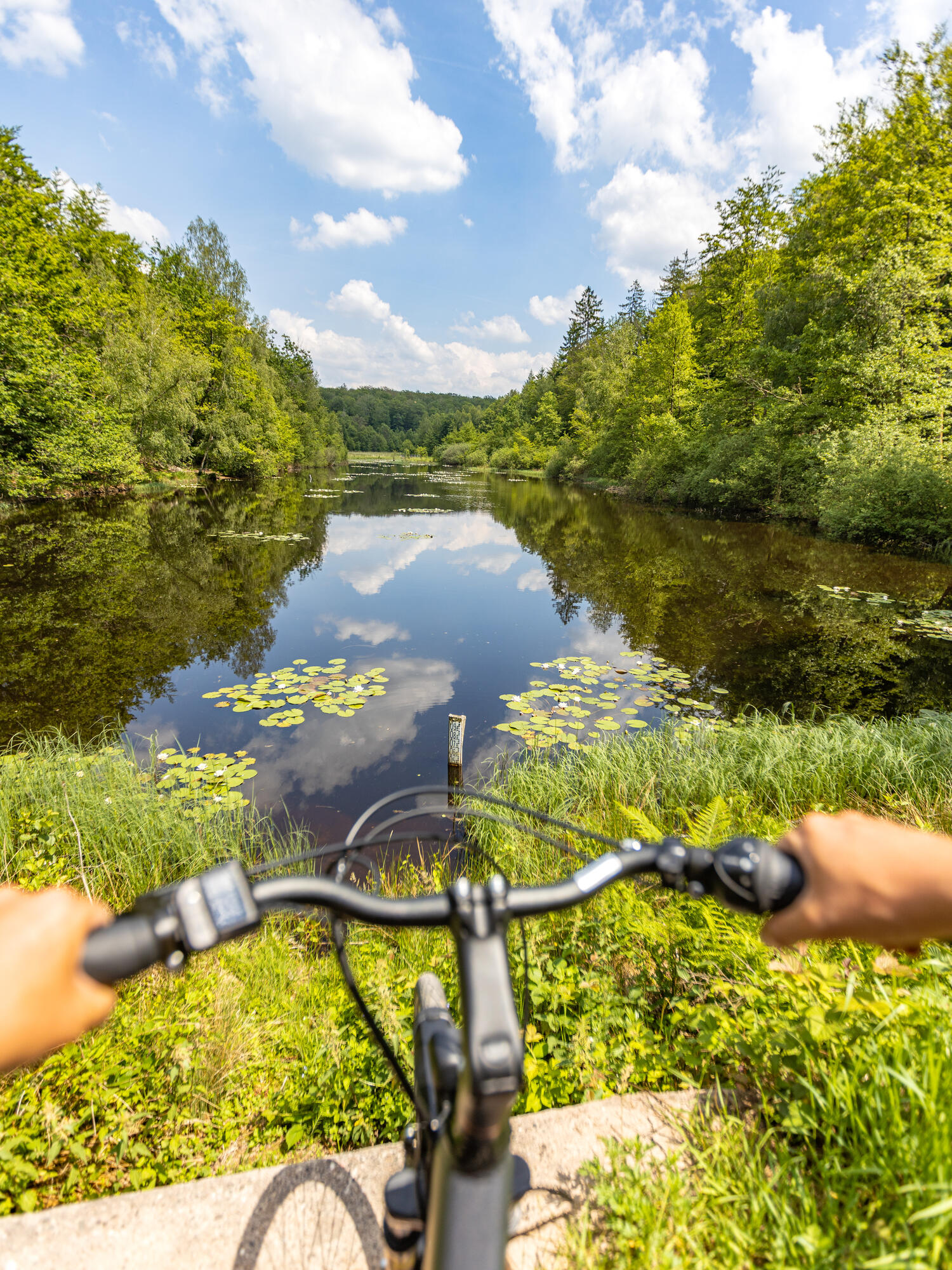 Vue à vélo sur un lac entouré d’arbres