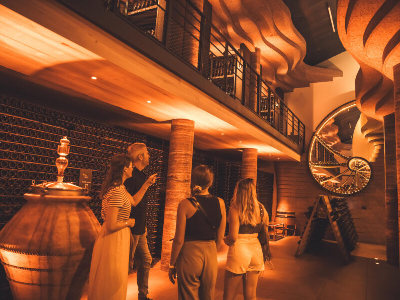 Ouverture des candidatures pour le Wine Tourism Innovation Challenge