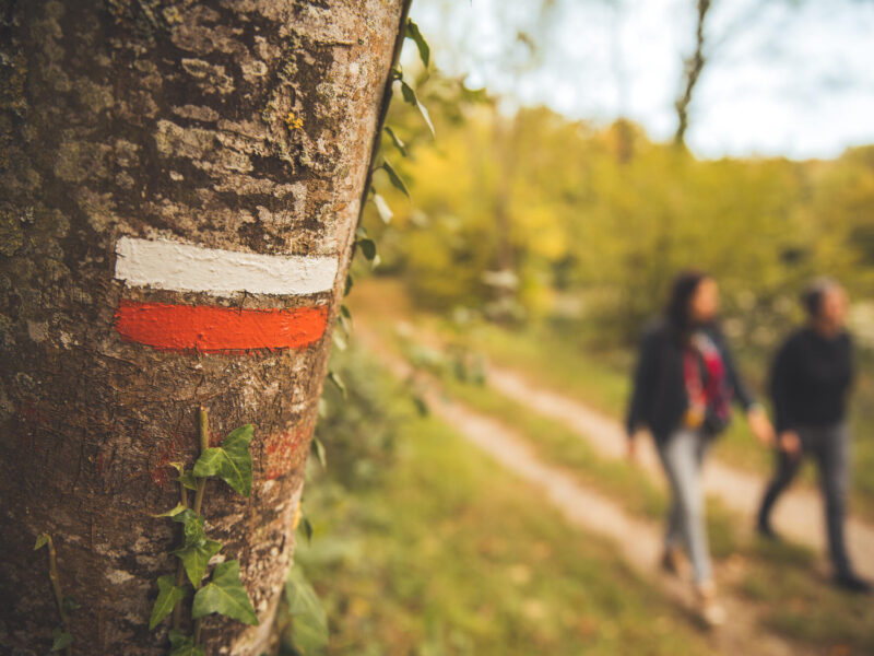 La Région Grand Est, première région française à rejoindre l’Association Européenne des Chemins de la Via Francigena