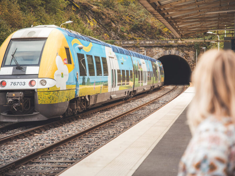 Protégé : Mobilités touristiques : une démarche de co-construction à l’échelle des bassins de mobilité du Grand Est