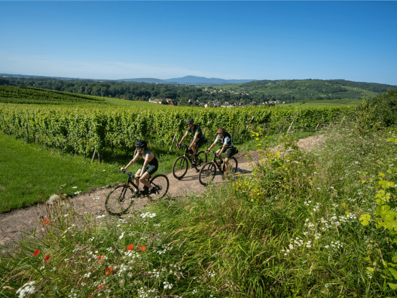 Le Grand Tour de l’Alsace à Vélo rejoint les itinéraires d’Explore Grand Est